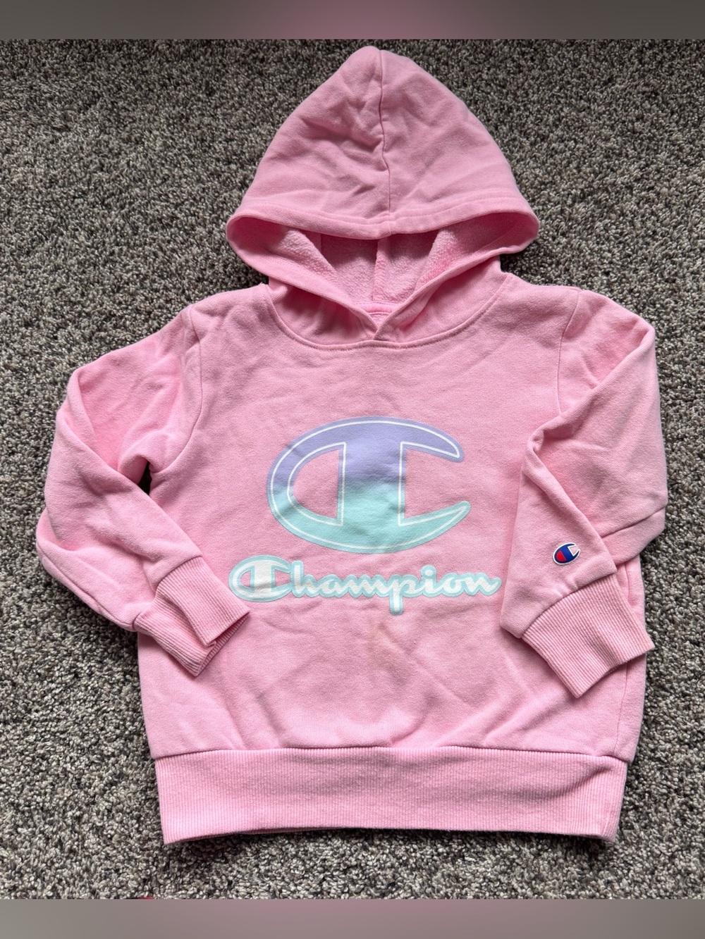 Champion Pink Kids Hoodie